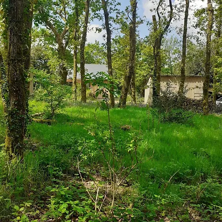 Des Monts D'arree & Holiday home La Feuillee